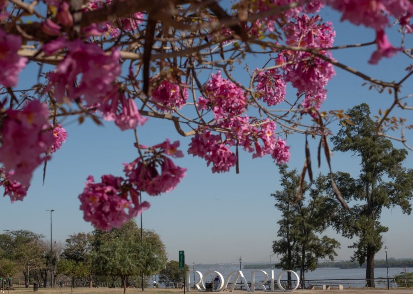 Fin de semana largo: Rosario tuvo la mayor cantidad de visitantes del último año